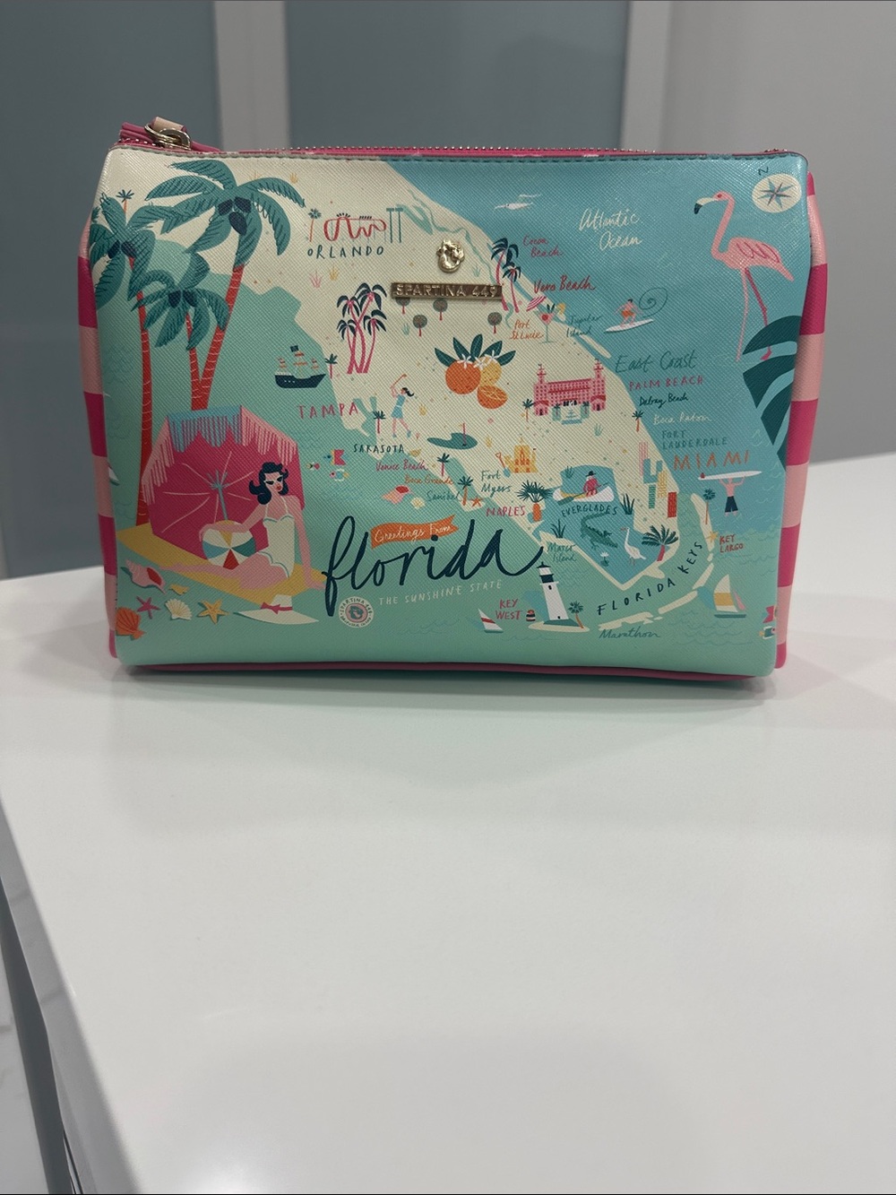 Spartina 449 Florida Map Cosmetic Pouch in Mint and Pink